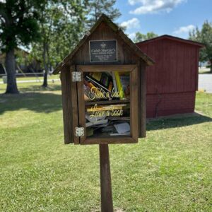 Photo of the Little Library, installed by the Boy Scout Troop 701 as an Eagle Scout Project.